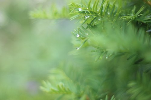Img_0389.jpg