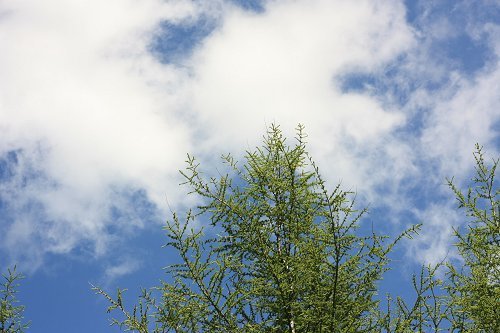 Img_0420.jpg