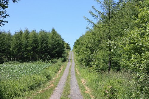 Img_0425.jpg