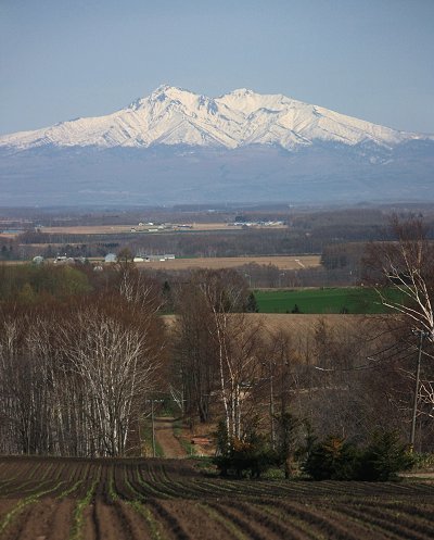 Img_1969.jpg